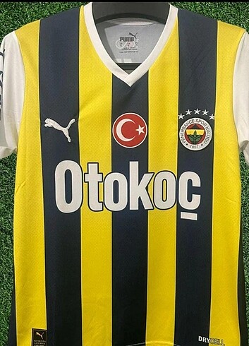 TADIC FENERBAHÇE FORMASI