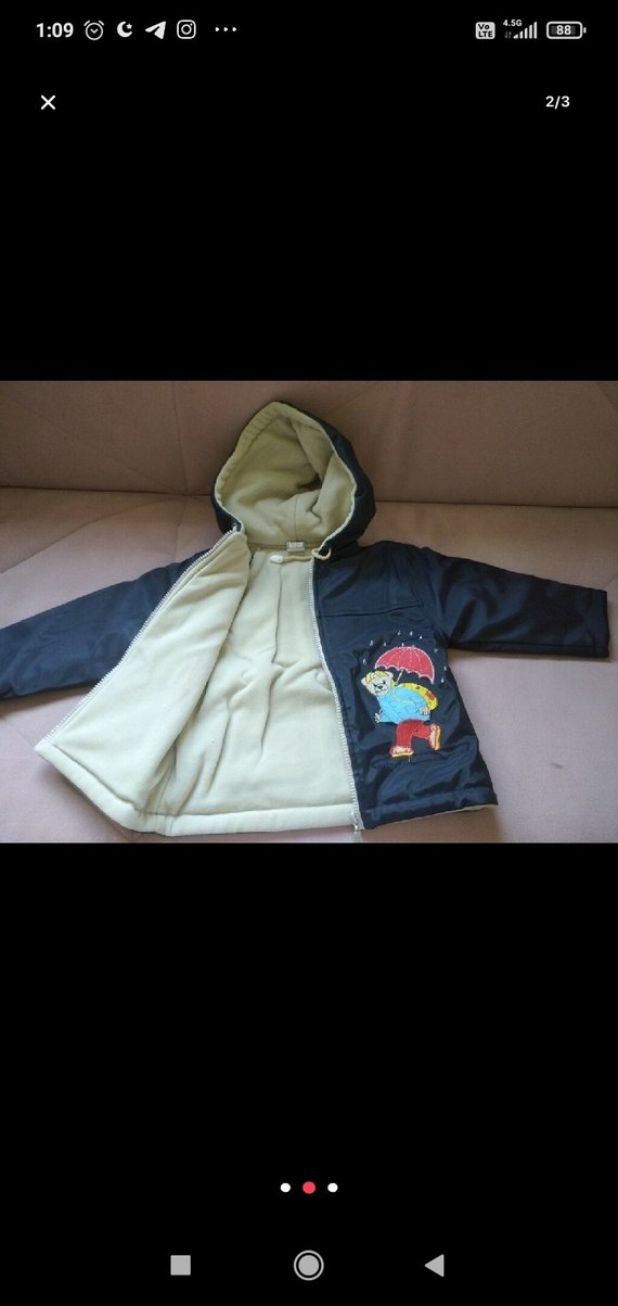 Kapüşonlu Mavi Baskılı Erkek Çocuk Ceketi - Görsel 2