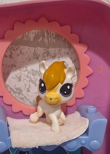Lps at miniş