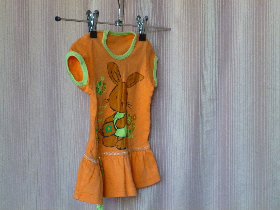 Kız Çocuk Turuncu Kısa Kollu Fırfırlı Tişört - Görsel 4