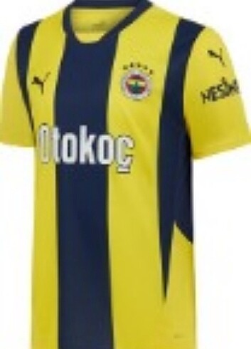 Fenerbahçe yeni sezon baskısız forms
