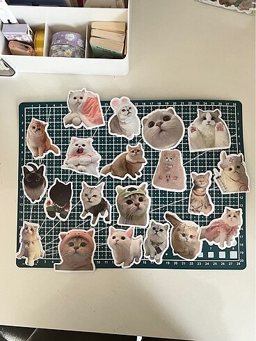Komik/şapşal kedi sticket