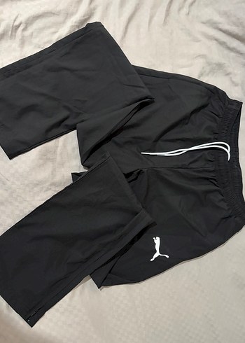 Puma m