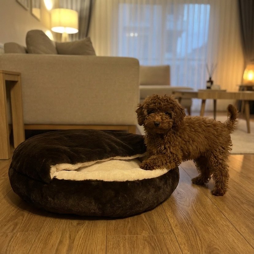 Koyu Kahverengi Peluş Evcil Hayvan Yatağı - Görsel 5