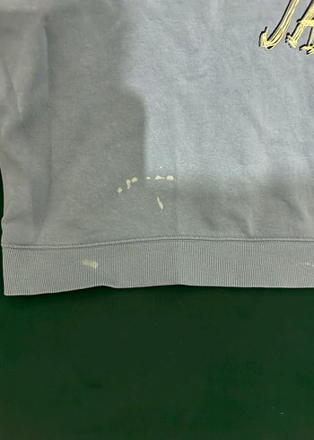 xxl Beden gri Renk Garfield Baskılı Gri Kız Sweatshirt