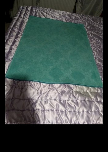 Turkuaz Paspas - Görsel 2