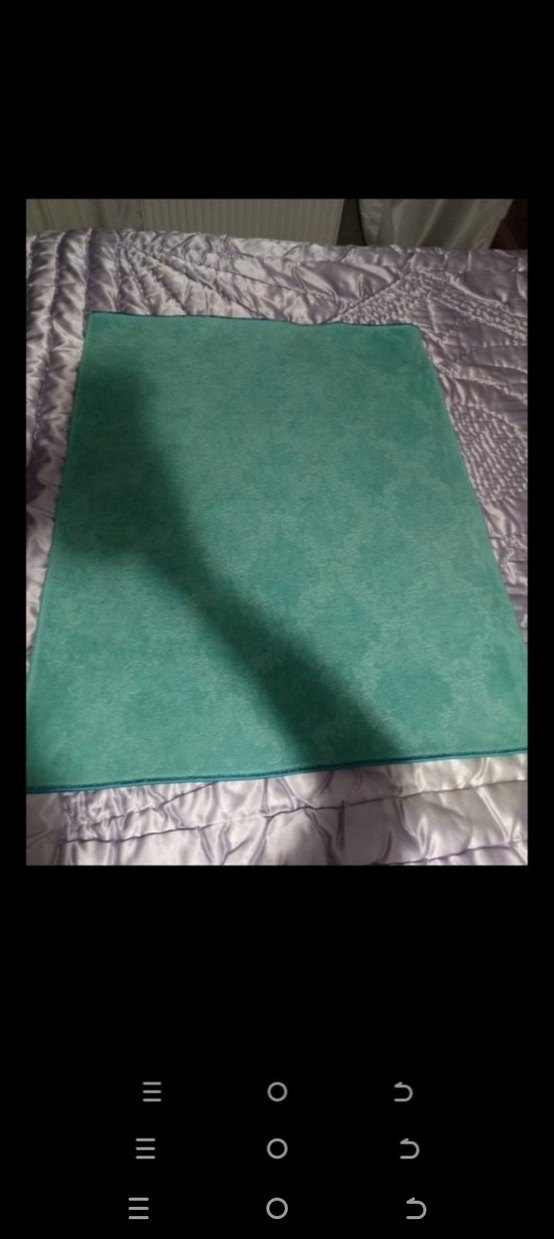 Turkuaz Paspas - Görsel 4