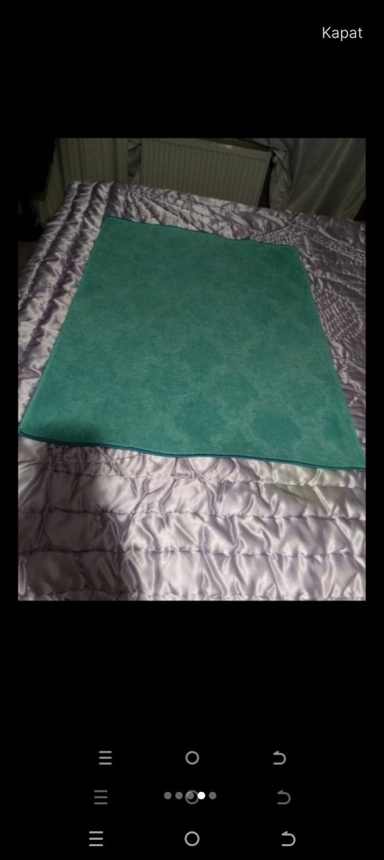 Turkuaz Paspas - Görsel 2