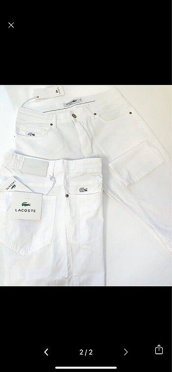 Lacoste Kot