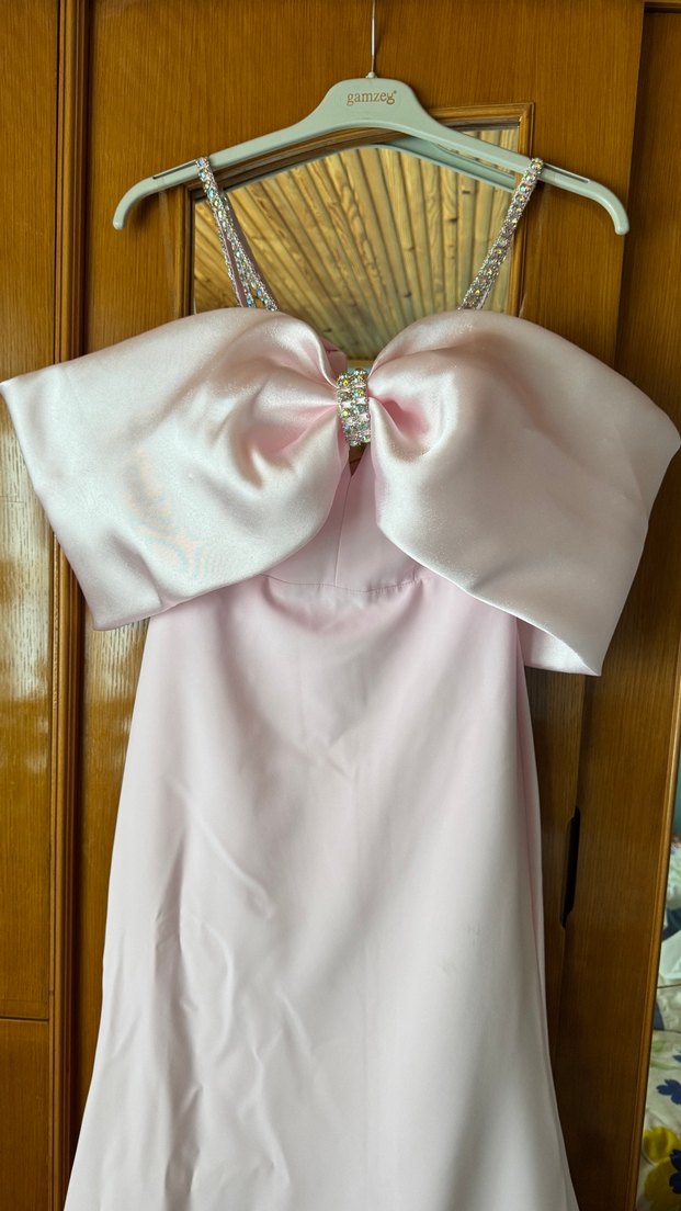 Pudra Pembe Uzun Abiye - Görsel 4