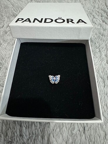 Pandora Pandora charm
