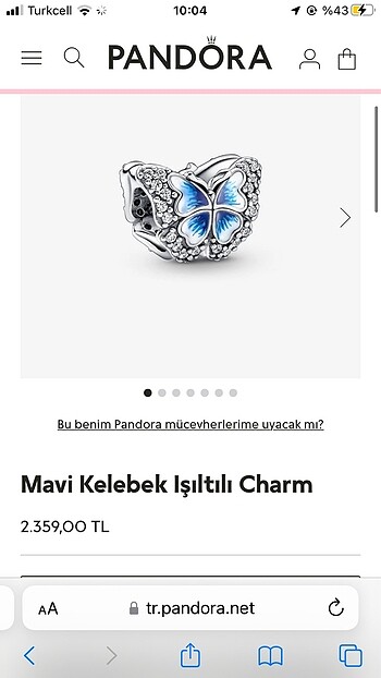 Pandora charm