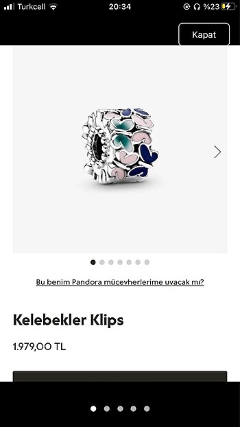 Pandora charm