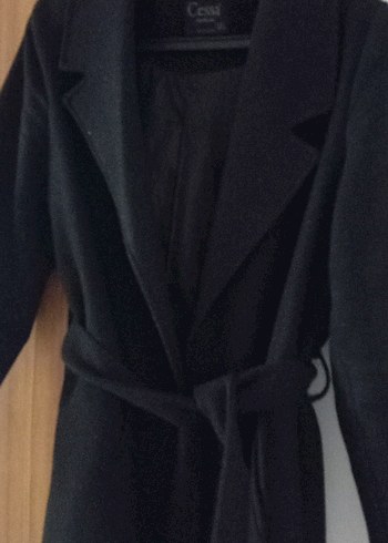 Siyah Kuşaklı Kaban - Görsel 2