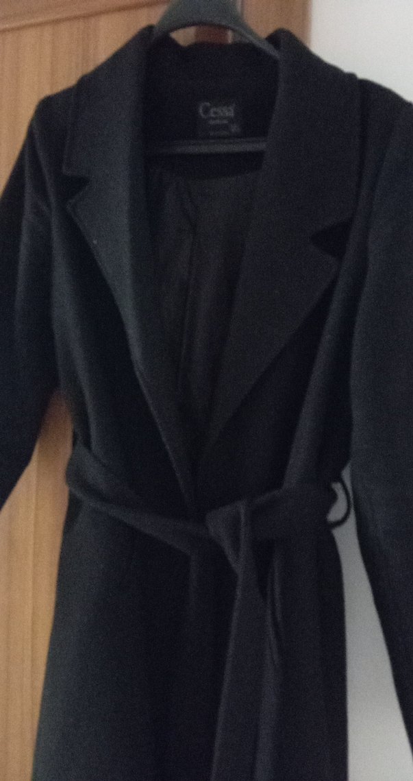 Siyah Kuşaklı Kaban - Görsel 2