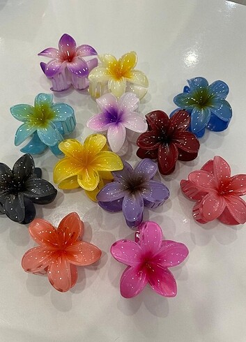 Lotus mandal toka
