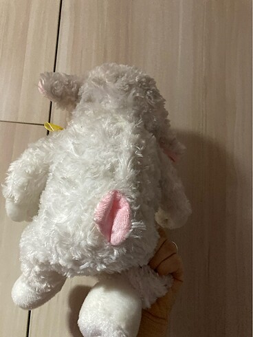  Beden Peluş oyuncak kuzu temiz kusursuz