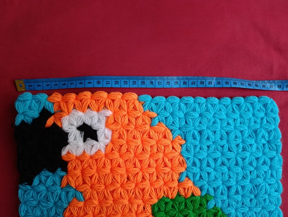 Papağan Lif El Örgüsü - Görsel 3