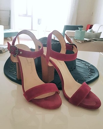 Bambi 38 numara