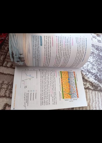 Beden Biyoloji El Kitabı Konu Anlatımı