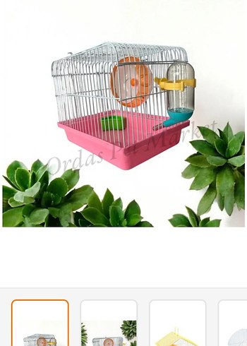 Renkli Pembe Mini Kemirgen Kafesi
