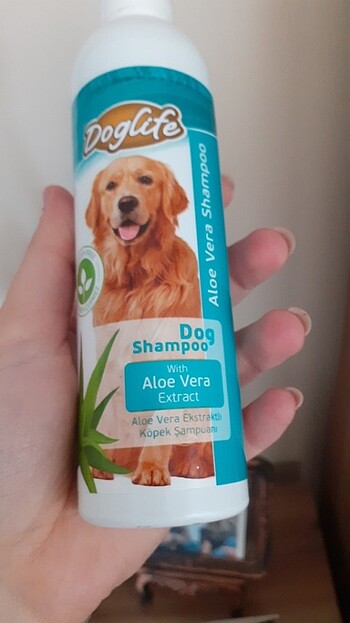 Köpek şampuanı