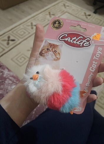 Kedi oyuncağı