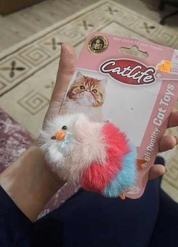 Kedi oyuncağı