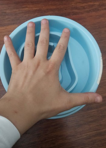 Mavi yavaş yeme mama kabı - Görsel 5