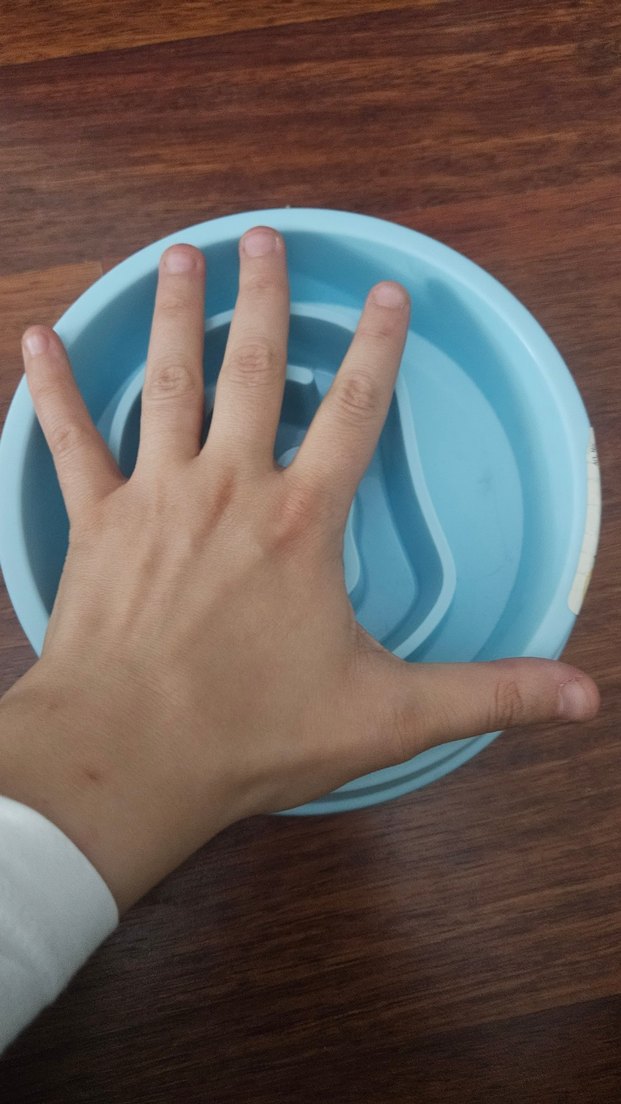 Mavi yavaş yeme mama kabı - Görsel 5