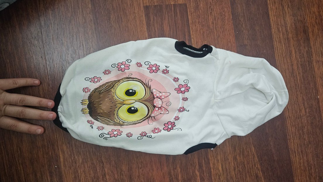 Renkli Baskılı Sokak Stili Kedi Kıyafeti - Görsel 2