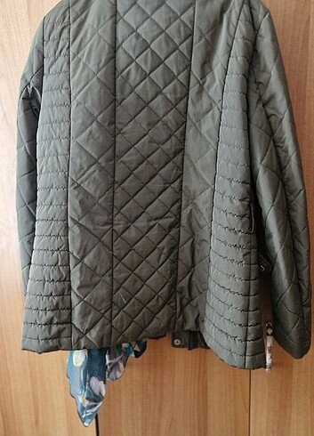 U.S Polo Assn. U.s polo mont