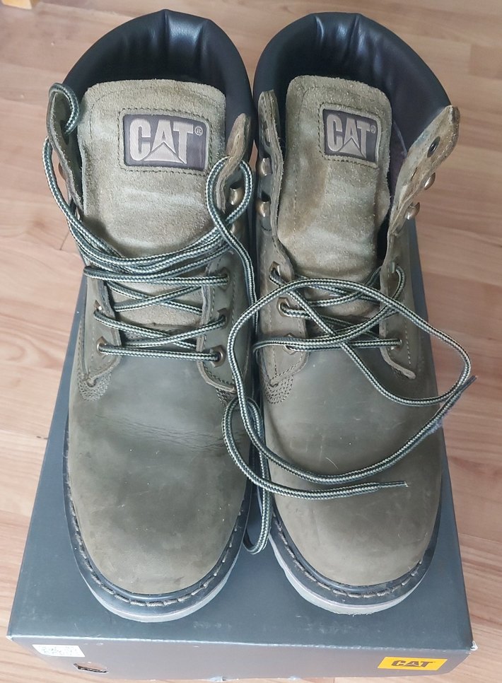 CAT Colorado Bot - Görsel 2