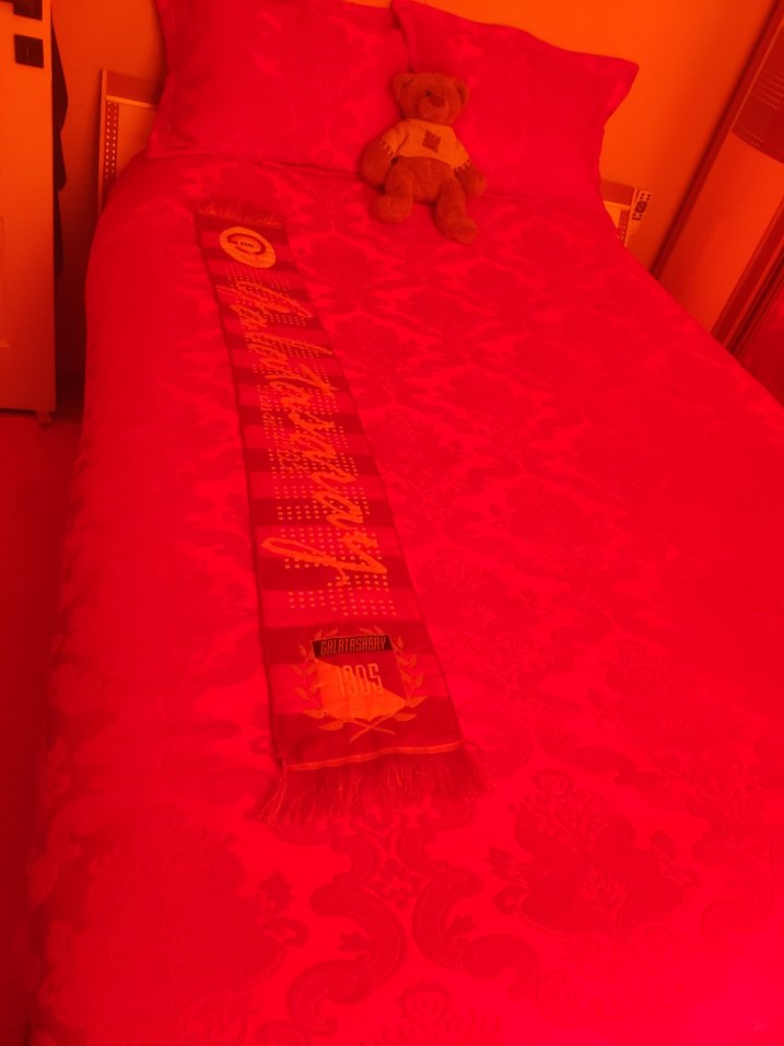 Renkli Baskılı Kırmızı Fırın Eldiveni - Görsel 5