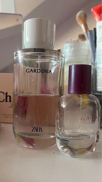zara gardenia parfüm