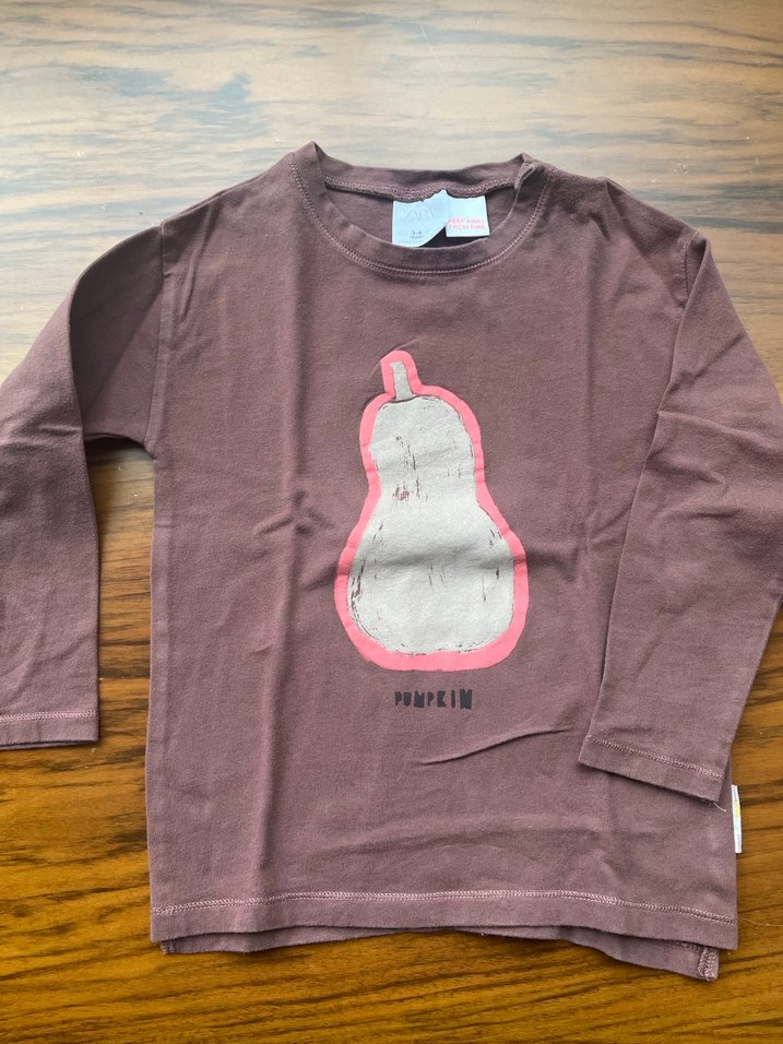 ZARA Erkek çocuk uzun kollu tshirt - Görsel 2