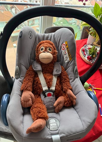 Maxi Cosi  0 - 13 kg