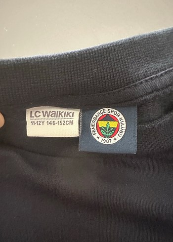 Fenerbahçe Baskılı Erkek Sweatshirt - Görsel 3
