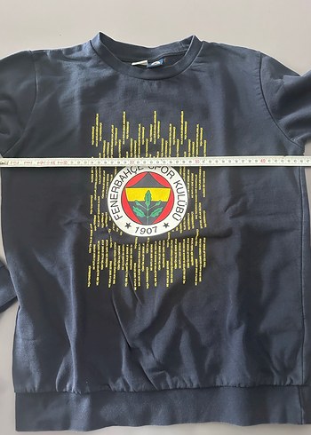Fenerbahçe Baskılı Erkek Sweatshirt - Görsel 4
