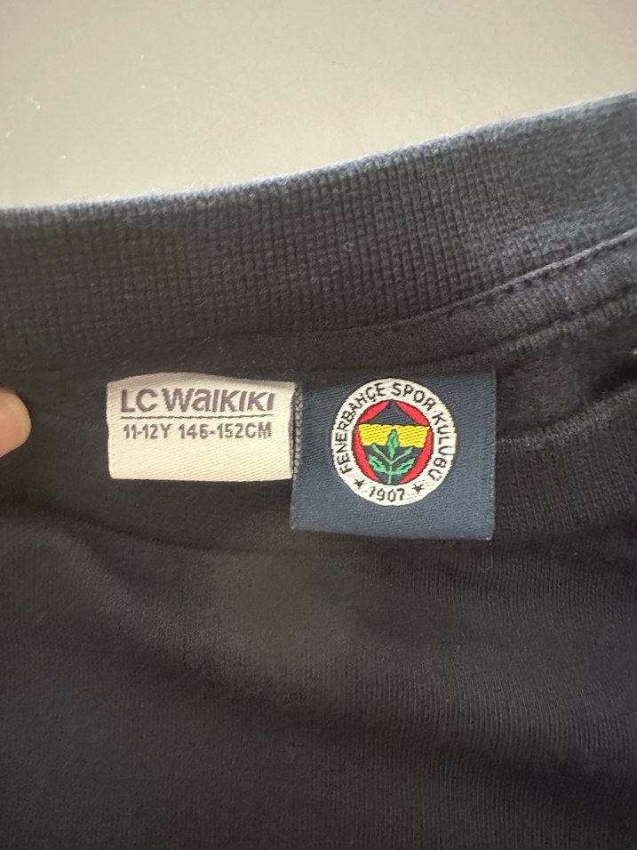 Fenerbahçe Baskılı Erkek Sweatshirt - Görsel 3