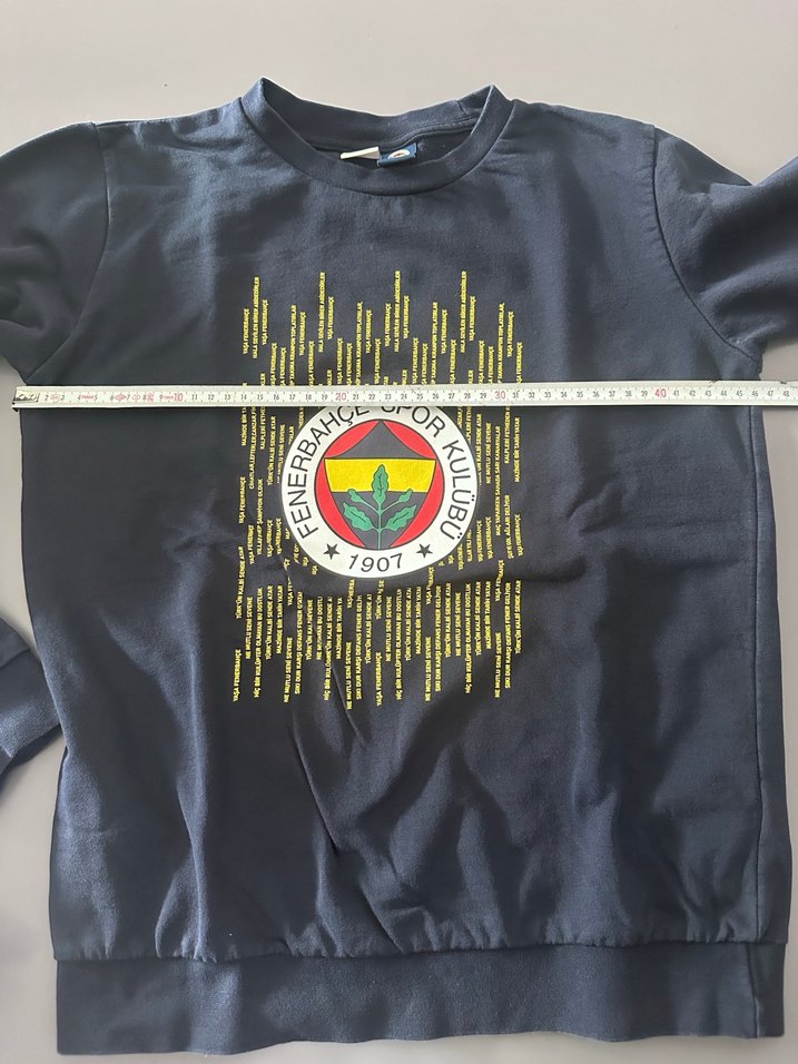 Fenerbahçe Baskılı Erkek Sweatshirt - Görsel 4