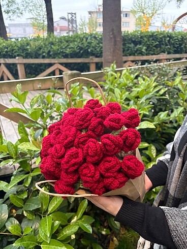Diğer 70 cm BUKET BATTANİYE