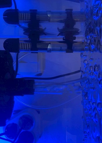 Mavi Aydınlatmalı Akvaryum Tankı - Görsel 2