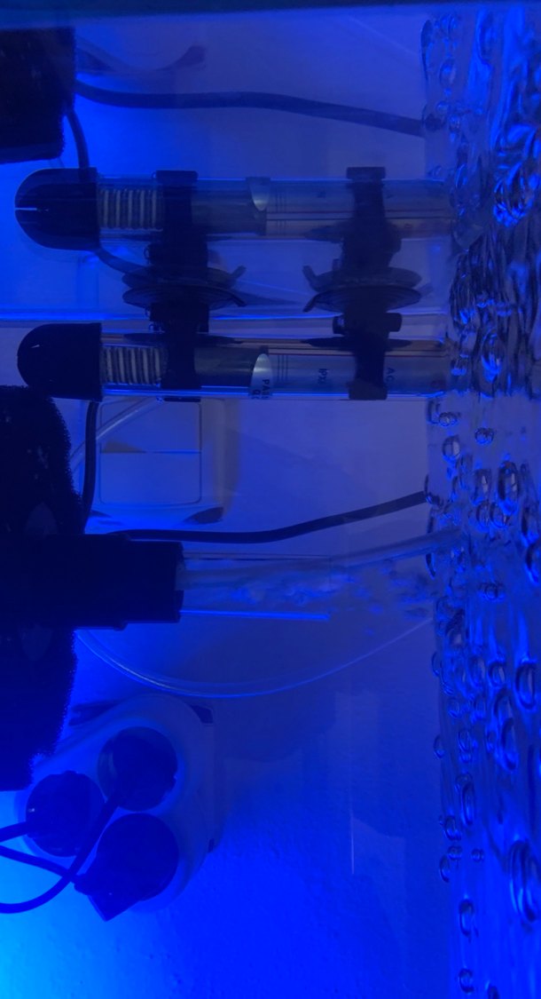 Mavi Aydınlatmalı Akvaryum Tankı - Görsel 2