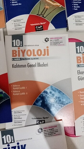  Beden Renk 10.sinif çap yayınları 