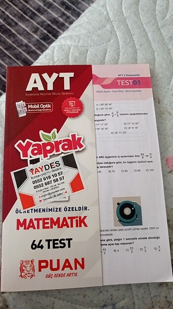 Ayt yaprak test