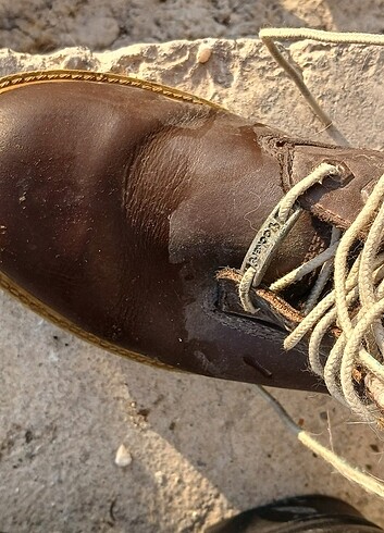 Dockers bot