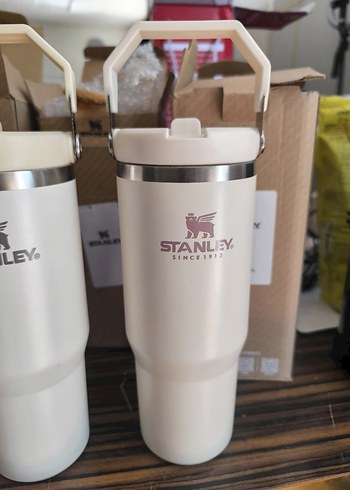 Stanley Beyaz Çocuk Termos Şişesi