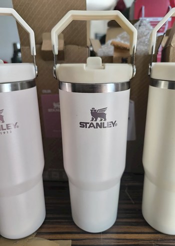 Diğer Stanley Beyaz Çocuk Termos Şişesi