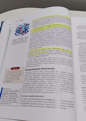 Beden Renk Hücre Moleküler Yaklaşım 7.Baskı